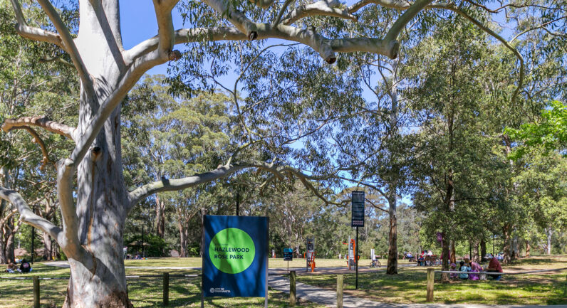 4 Bambara Crescent, Beecroft NSW 2119