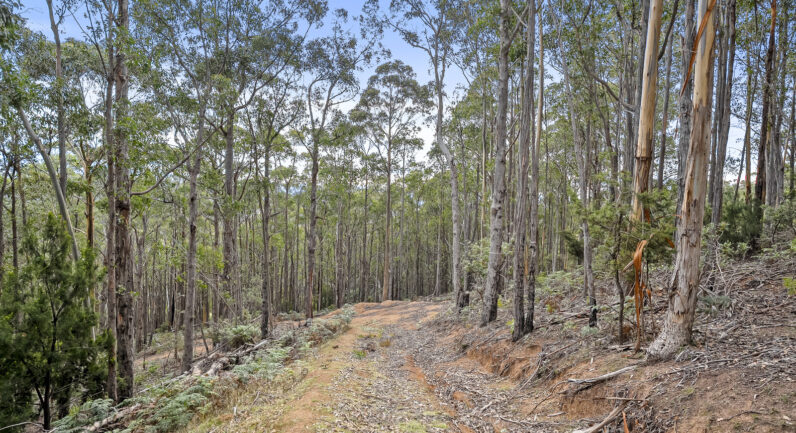 35 Valley View Road, Margate TAS 7054