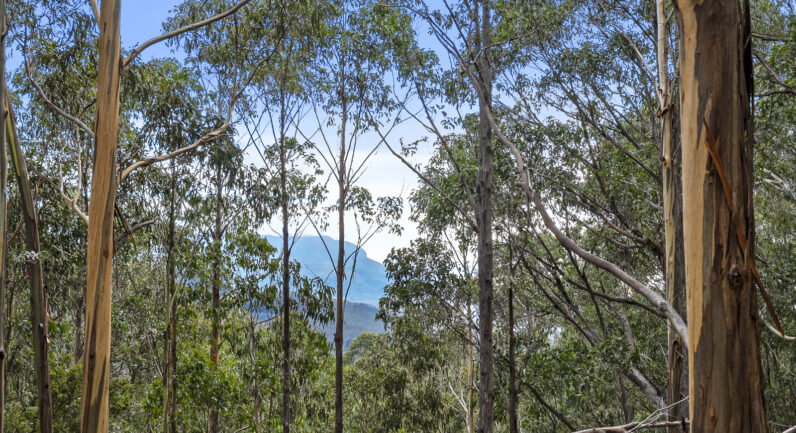 35 Valley View Road, Margate TAS 7054