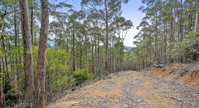 35 Valley View Road, Margate TAS 7054