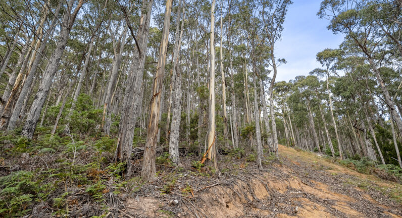 35 Valley View Road, Margate TAS 7054