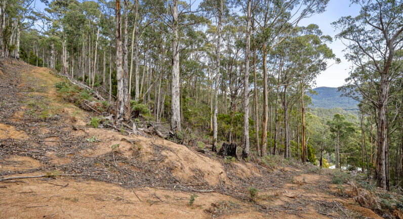 35 Valley View Road, Margate TAS 7054