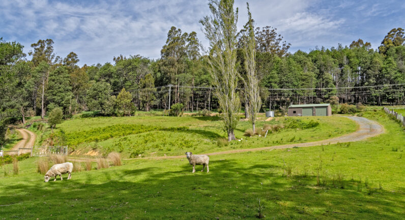 9 Bobs Road, Oyster Cove TAS 7150