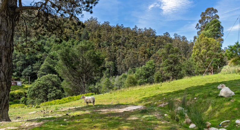 9 Bobs Road, Oyster Cove TAS 7150