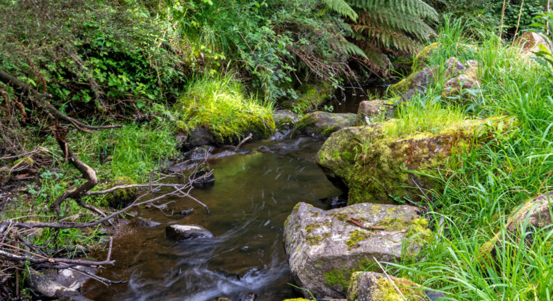 9 Bobs Road, Oyster Cove TAS 7150