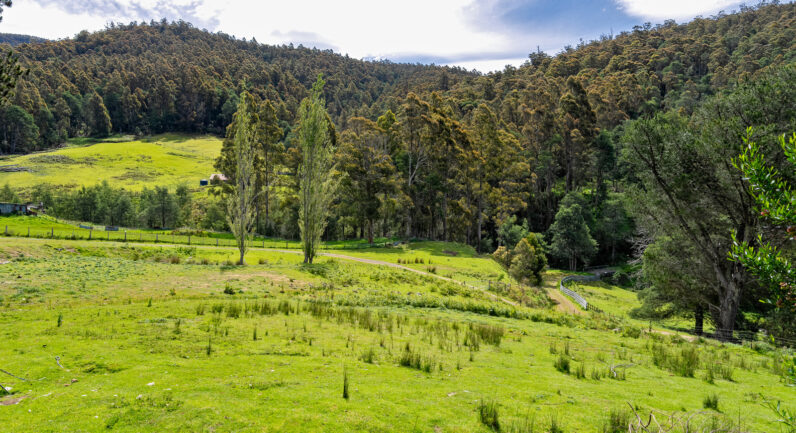 9 Bobs Road, Oyster Cove TAS 7150