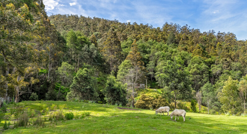 9 Bobs Road, Oyster Cove TAS 7150