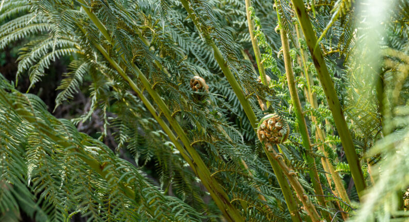 9 Bobs Road, Oyster Cove TAS 7150