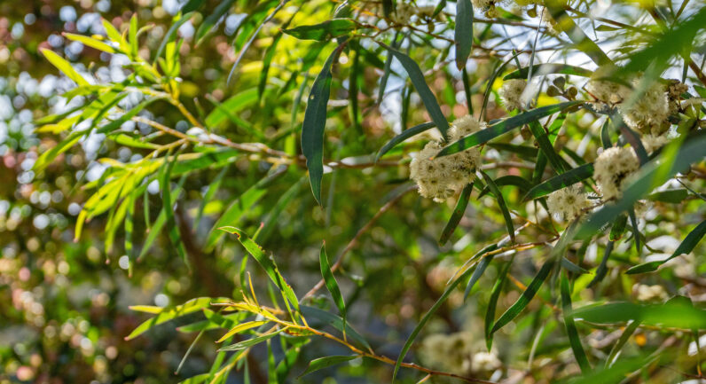 9 Bobs Road, Oyster Cove TAS 7150