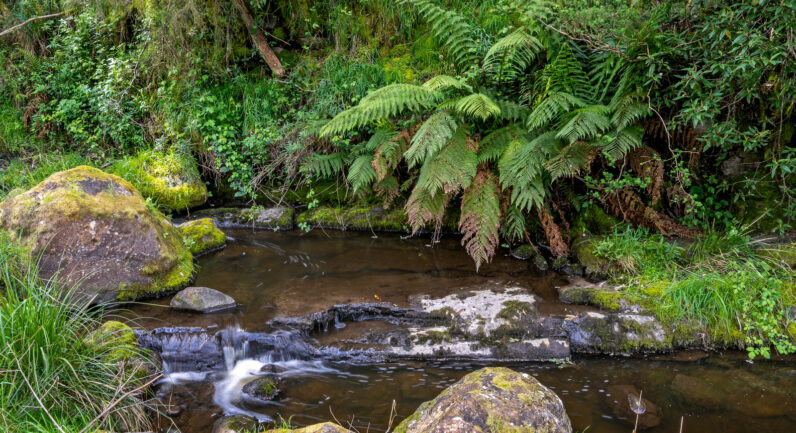 9 Bobs Road, Oyster Cove TAS 7150