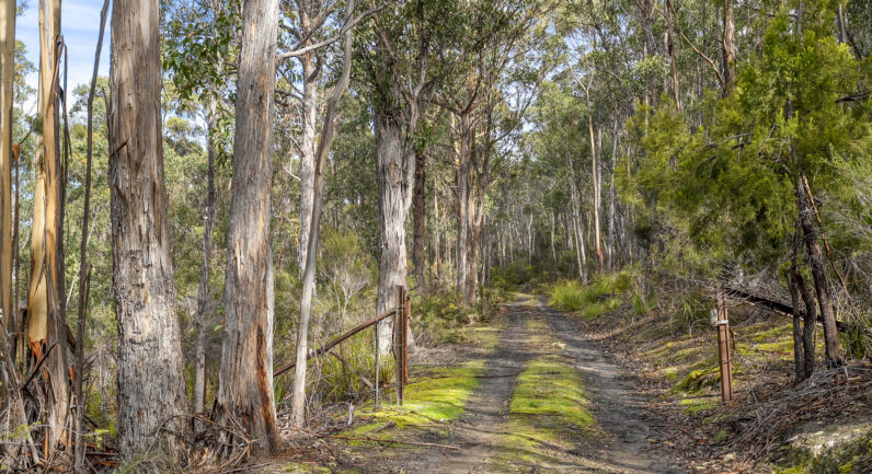 218 Longmans Road, Snug TAS 7054