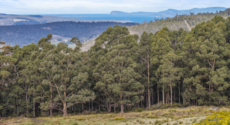 218 Longmans Road, Snug TAS 7054