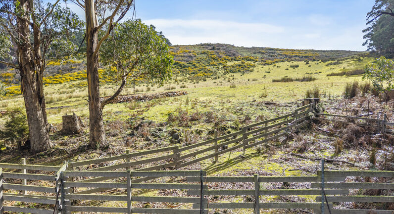 218 Longmans Road, Snug TAS 7054