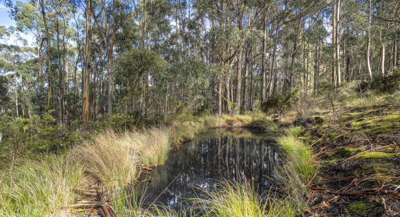218 Longmans Road, Snug TAS 7054