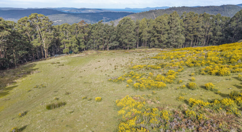 218 Longmans Road, Snug TAS 7054