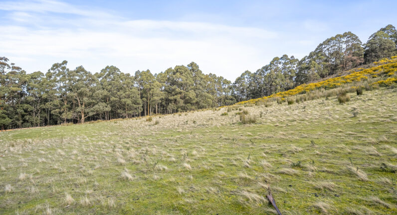 218 Longmans Road, Snug TAS 7054