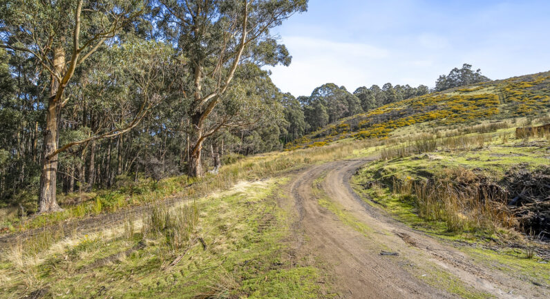 218 Longmans Road, Snug TAS 7054