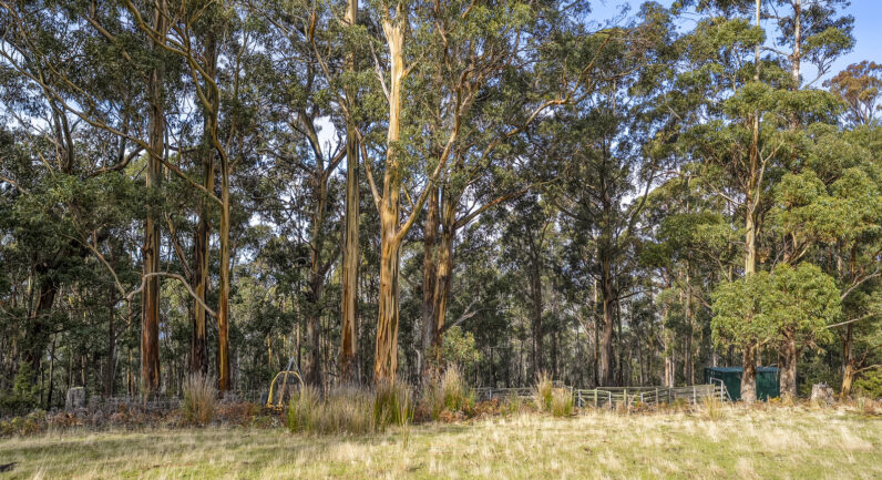 218 Longmans Road, Snug TAS 7054