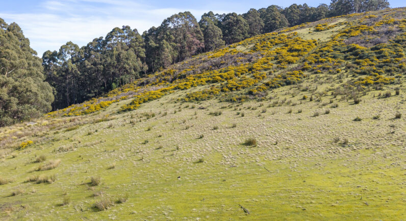 218 Longmans Road, Snug TAS 7054