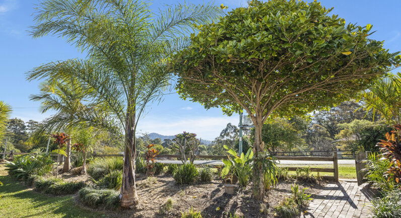 6 Plunkett Crescent, Boambee NSW 2450