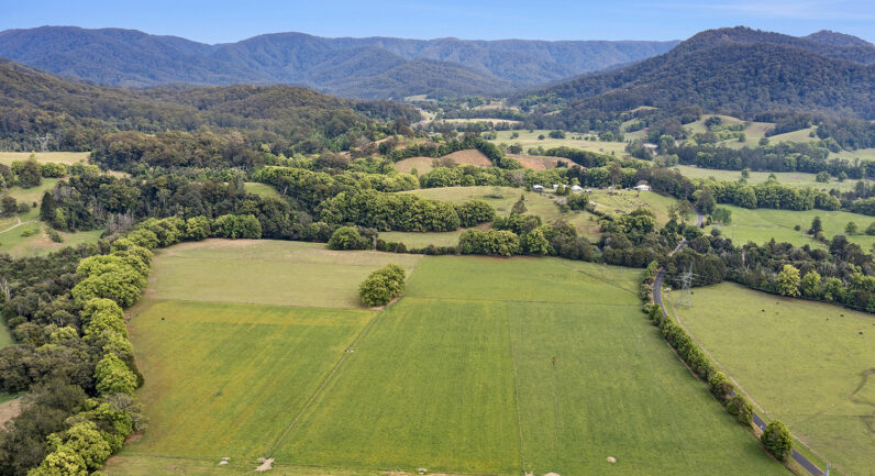 620A Upper Orara Road, Upper Orara NSW 2450