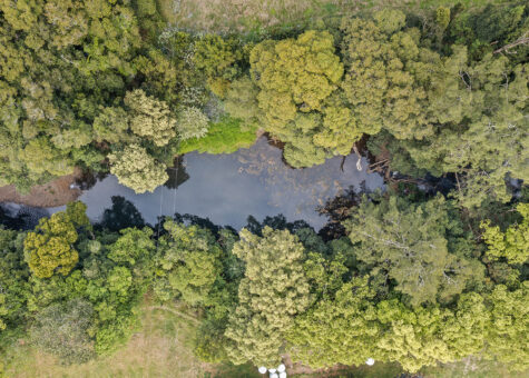 620A Upper Orara Road