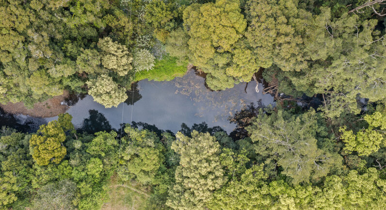 620A Upper Orara Road, Upper Orara NSW 2450