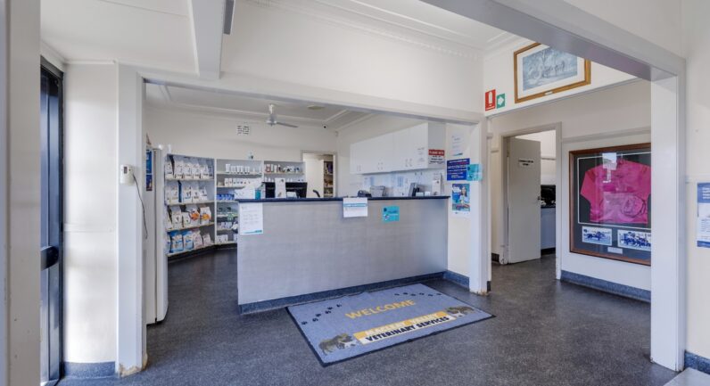 142 Belgrave Street, Kempsey NSW 2440