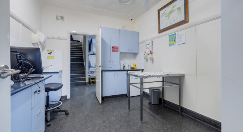 142 Belgrave Street, Kempsey NSW 2440