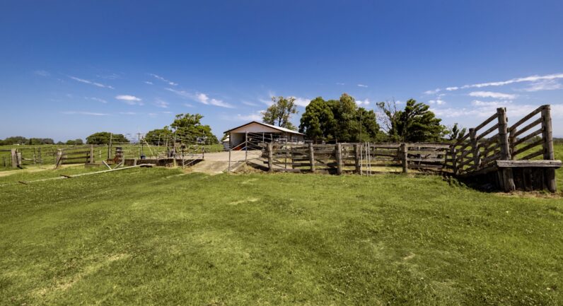 1076 Macleay Valley Way, Bellimbopinni NSW 2440
