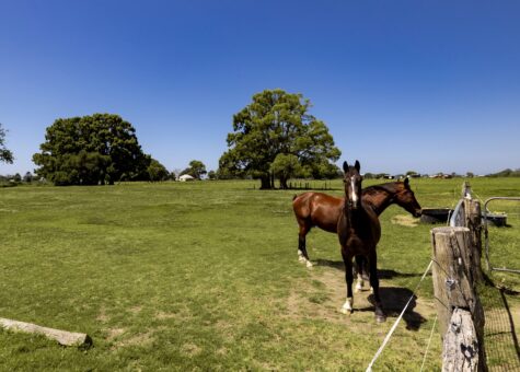 1076 Macleay Valley Way