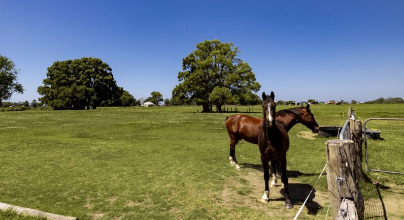 1076 Macleay Valley Way, Bellimbopinni NSW 2440