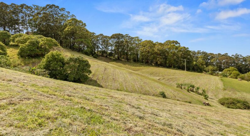 23 Jordans Way, Korora NSW 2450