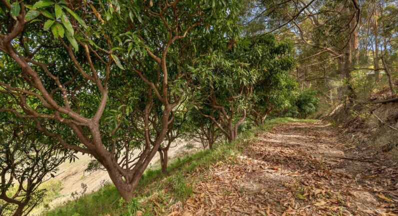 23 Jordans Way, Korora NSW 2450