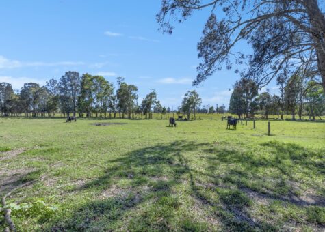 83 Belmore River Right Bank Road