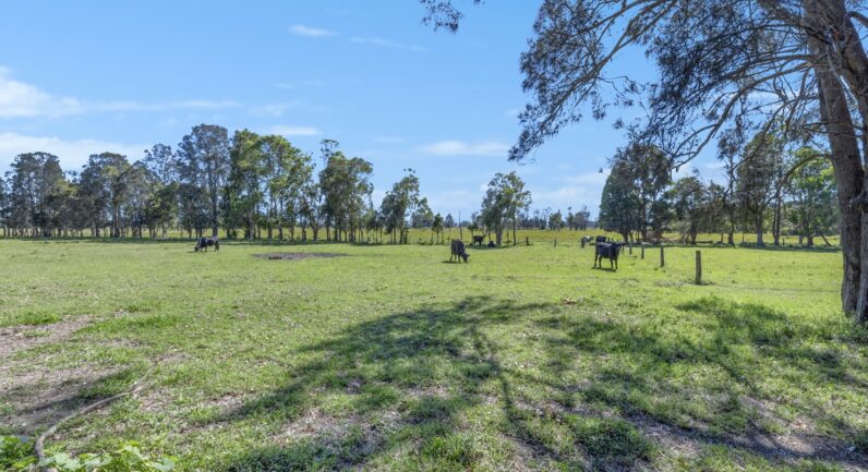 83 Belmore River Right Bank Road, Belmore River NSW 2440