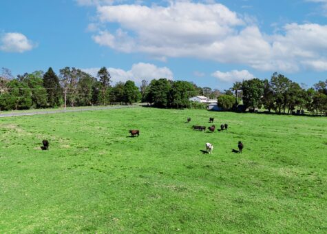 83 Belmore River Right Bank Road