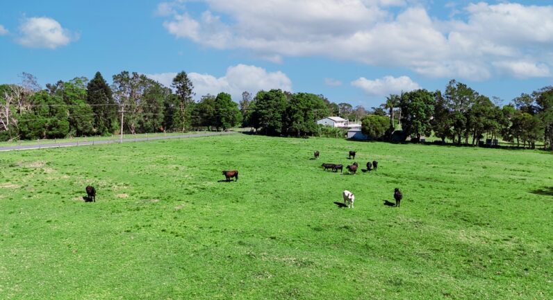 83 Belmore River Right Bank Road, Belmore River NSW 2440