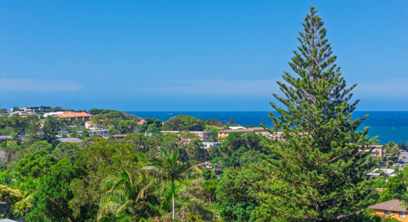 184 Lord Street, Port Macquarie NSW 2444