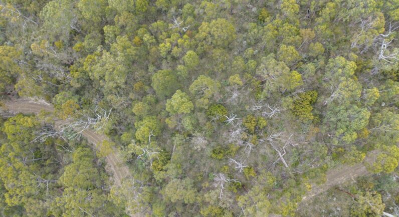 5286 Channel Highway, Gordon TAS 7150