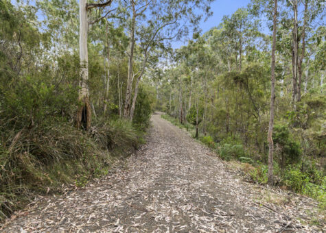 5286 Channel Highway