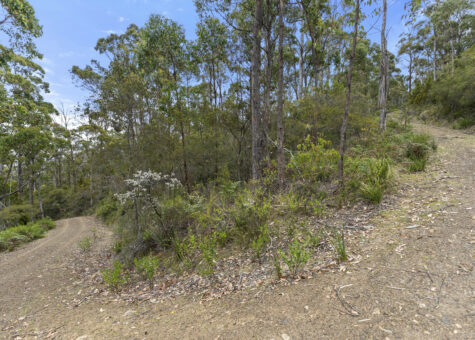 5286 Channel Highway