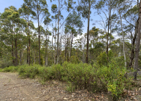 5286 Channel Highway