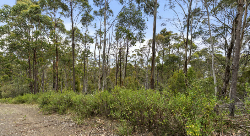 5286 Channel Highway, Gordon TAS 7150