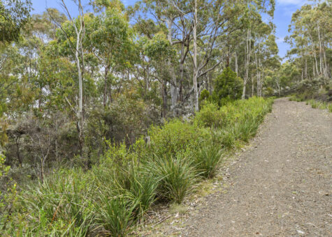 5286 Channel Highway