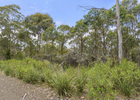 5286 Channel Highway