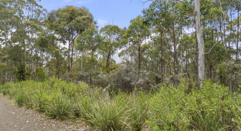 5286 Channel Highway, Gordon TAS 7150