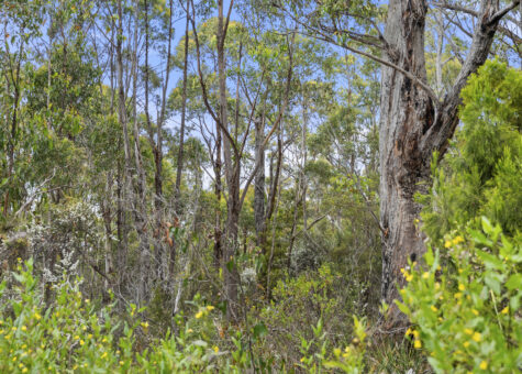 5286 Channel Highway