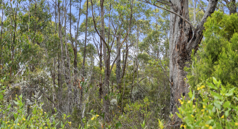 5286 Channel Highway, Gordon TAS 7150