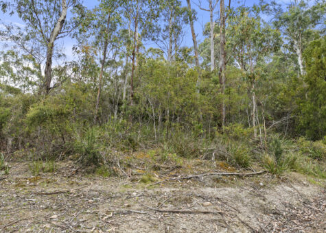 5286 Channel Highway